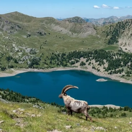 Lac d'Allos Mercantour