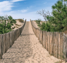 Accès direct plage de sable