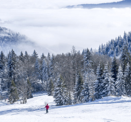 Piste de ski dans le Jura