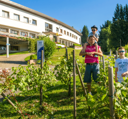 VTF Soultzeren vacances en famille en Alsace