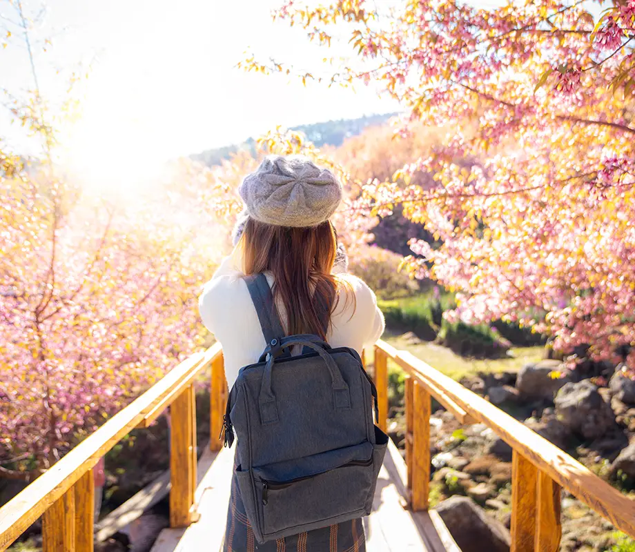 vacances en solo sans supplément